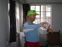 Carnaval